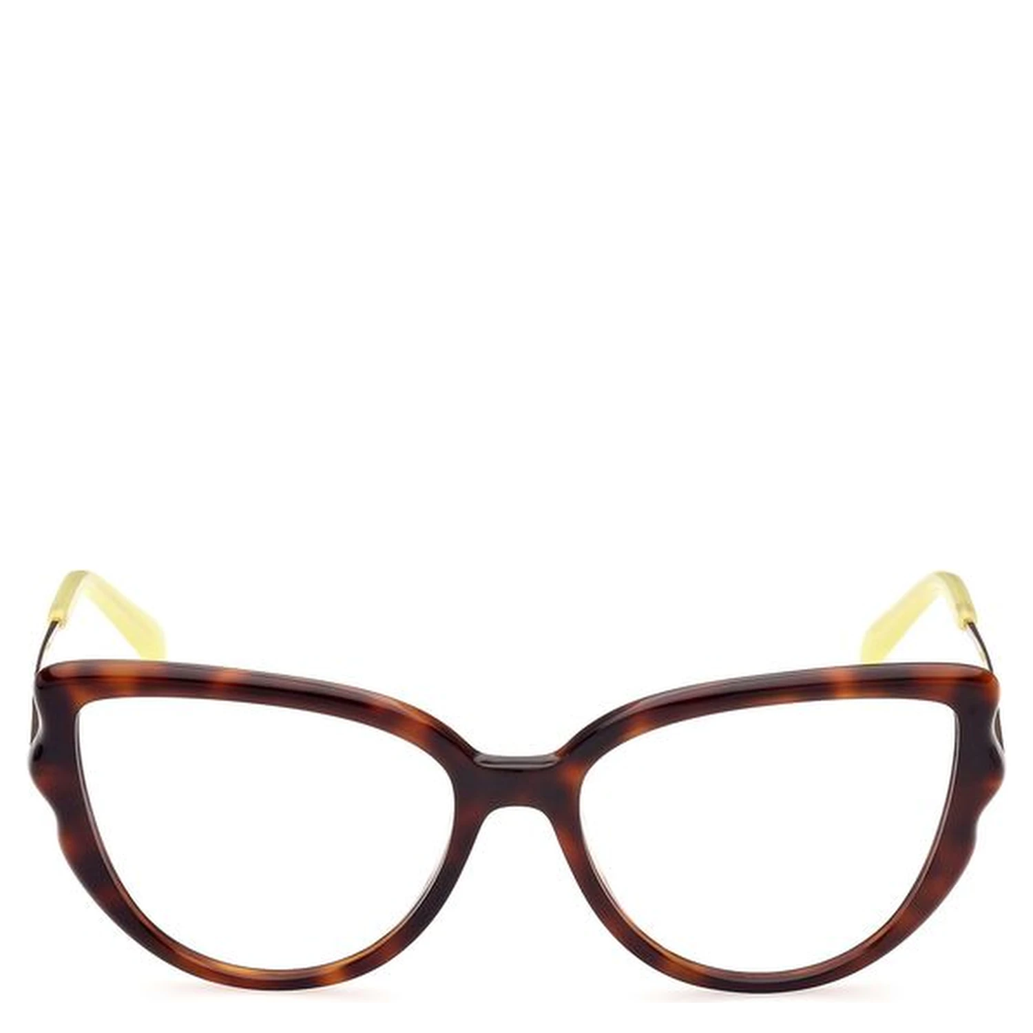 Brown Acetate Glasses (Frames)