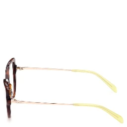 Brown Acetate Glasses (Frames)