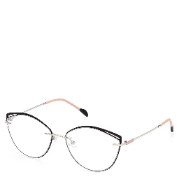 Black Metal Glasses (Frames)