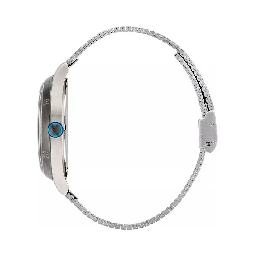 Gray Stainless Steel Dress Watch