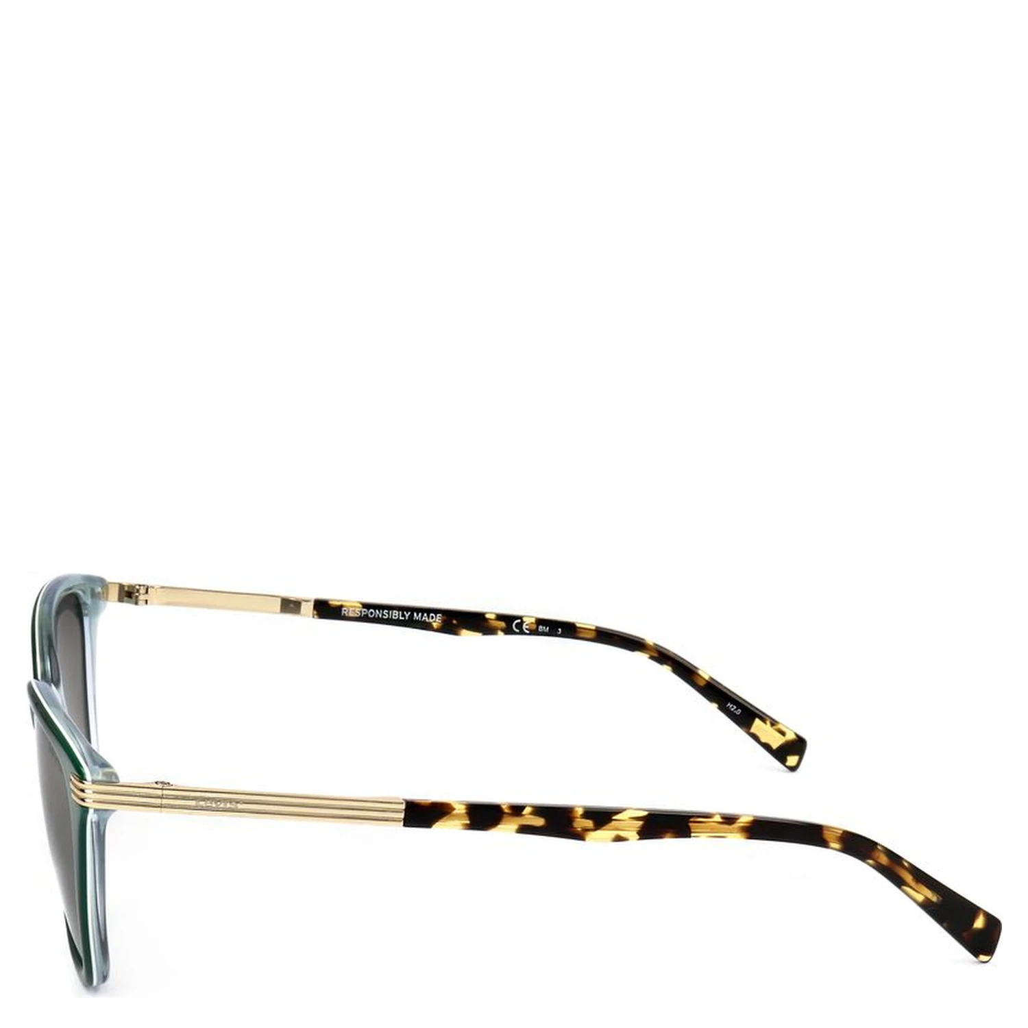 Brown Resin Sunglasses