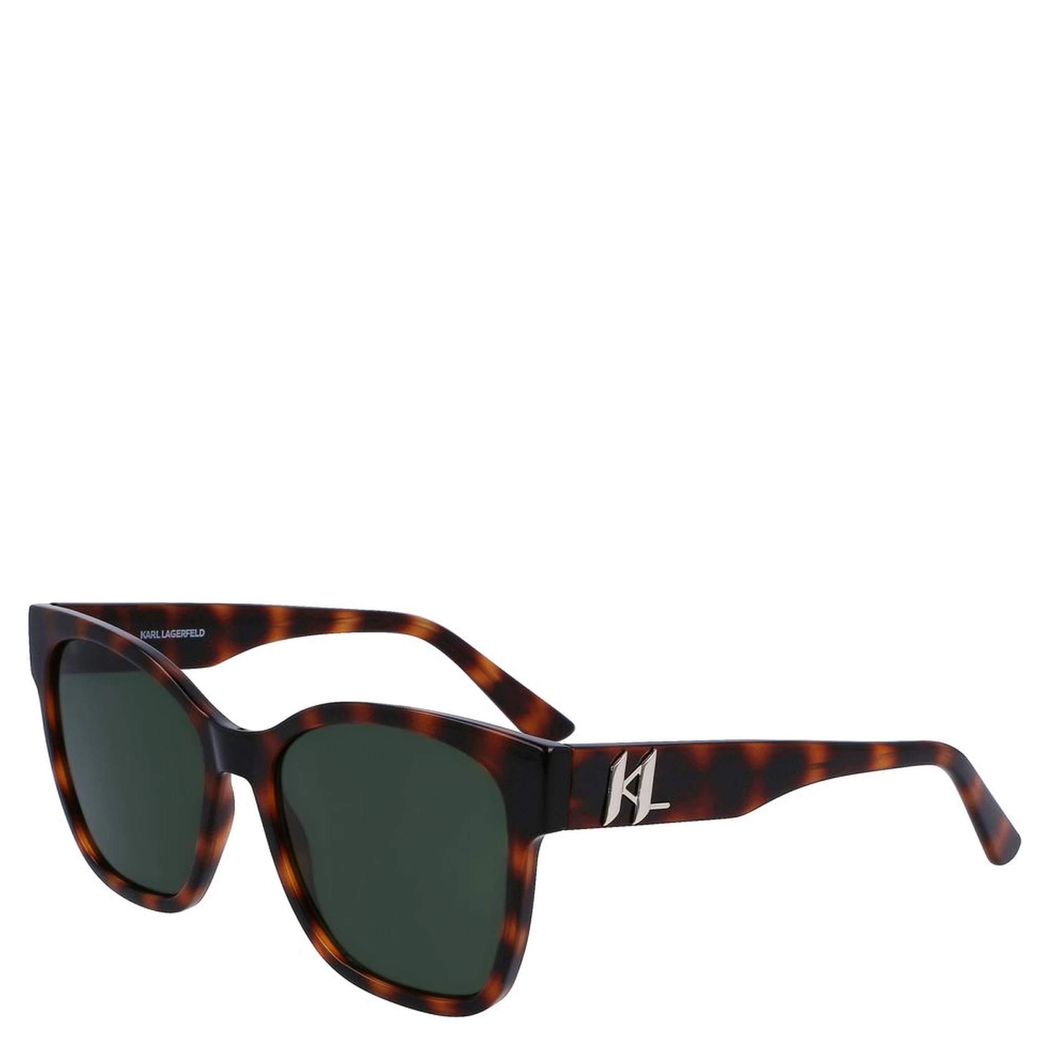 Brown Injected Sunglasses