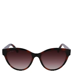 Brown Injected Sunglasses