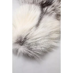 White Fox Fur Neck Wrap Warmer Winter Scarf