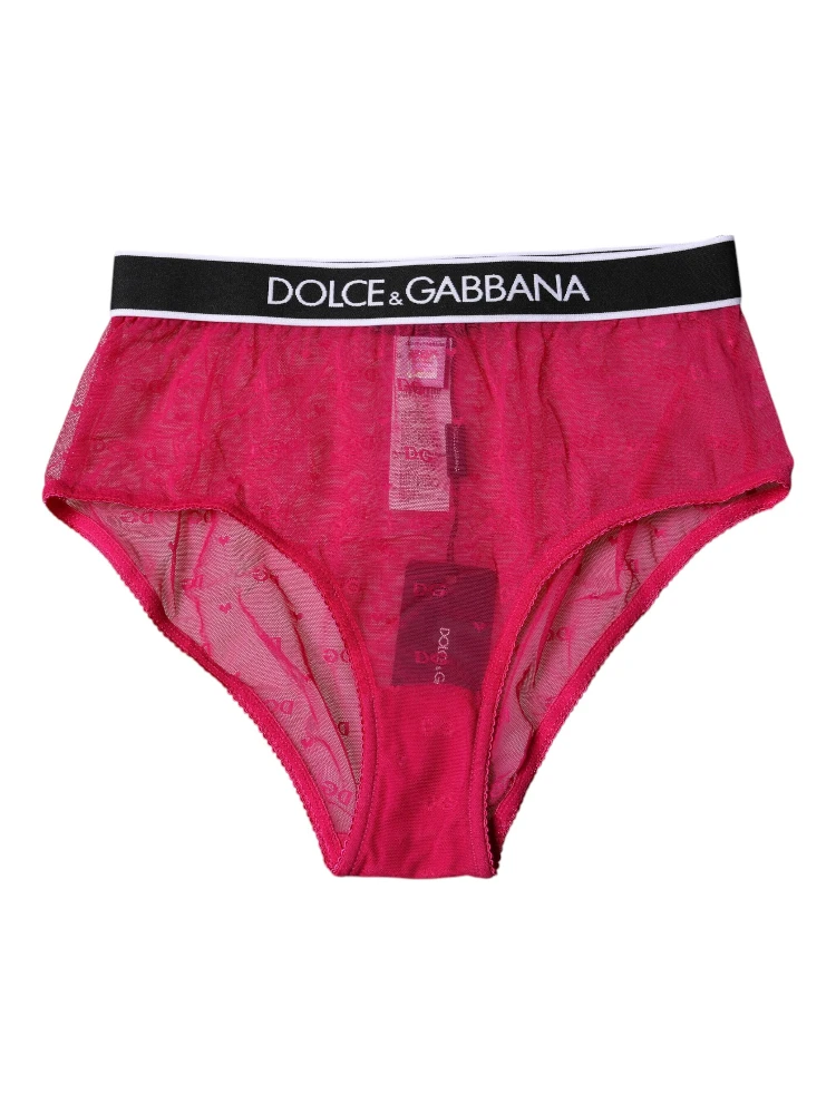 Fuchsia Tulle Nylon Mid Waist Panty Underwear