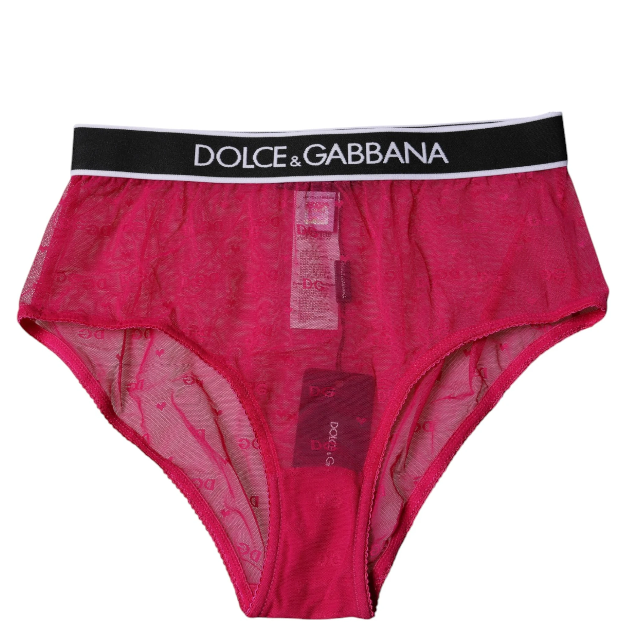 Fuchsia Tulle Nylon Mid Waist Panty Underwear