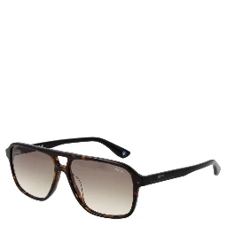 Brown Acetate Sunglasses