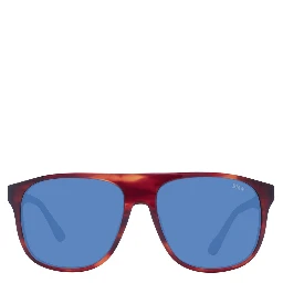 Brown Acetate Sunglasses