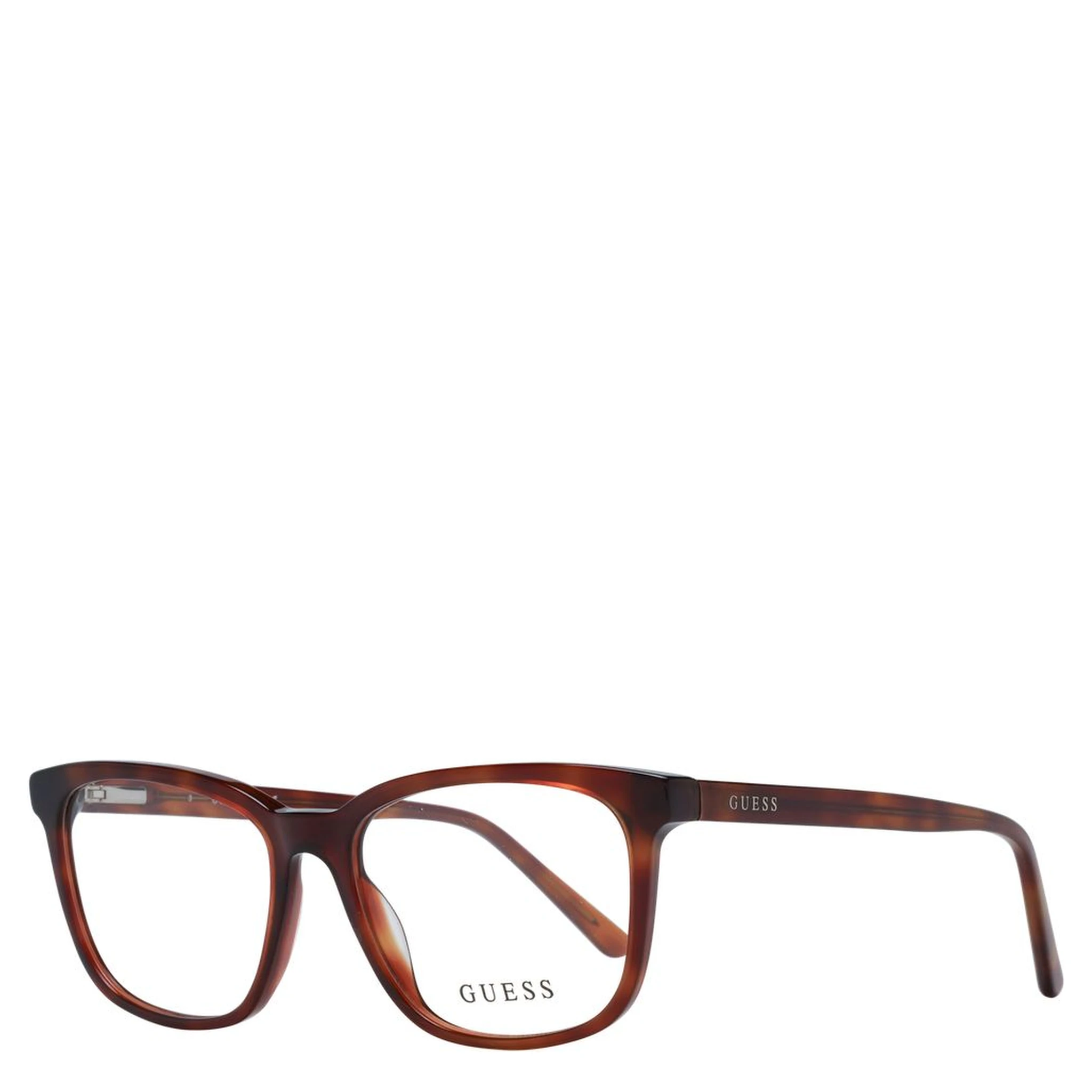 Brown Plastic Glasses (Frames)