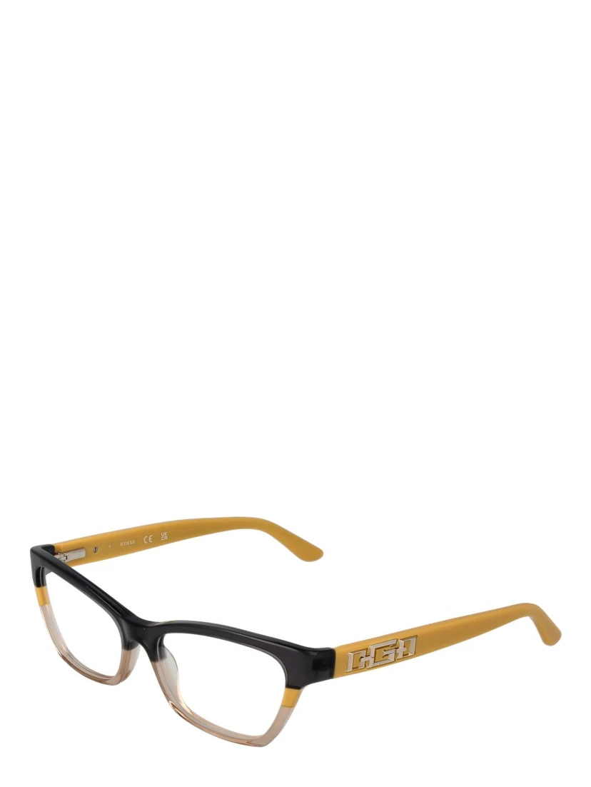 Black Acetate Glasses (Frames)