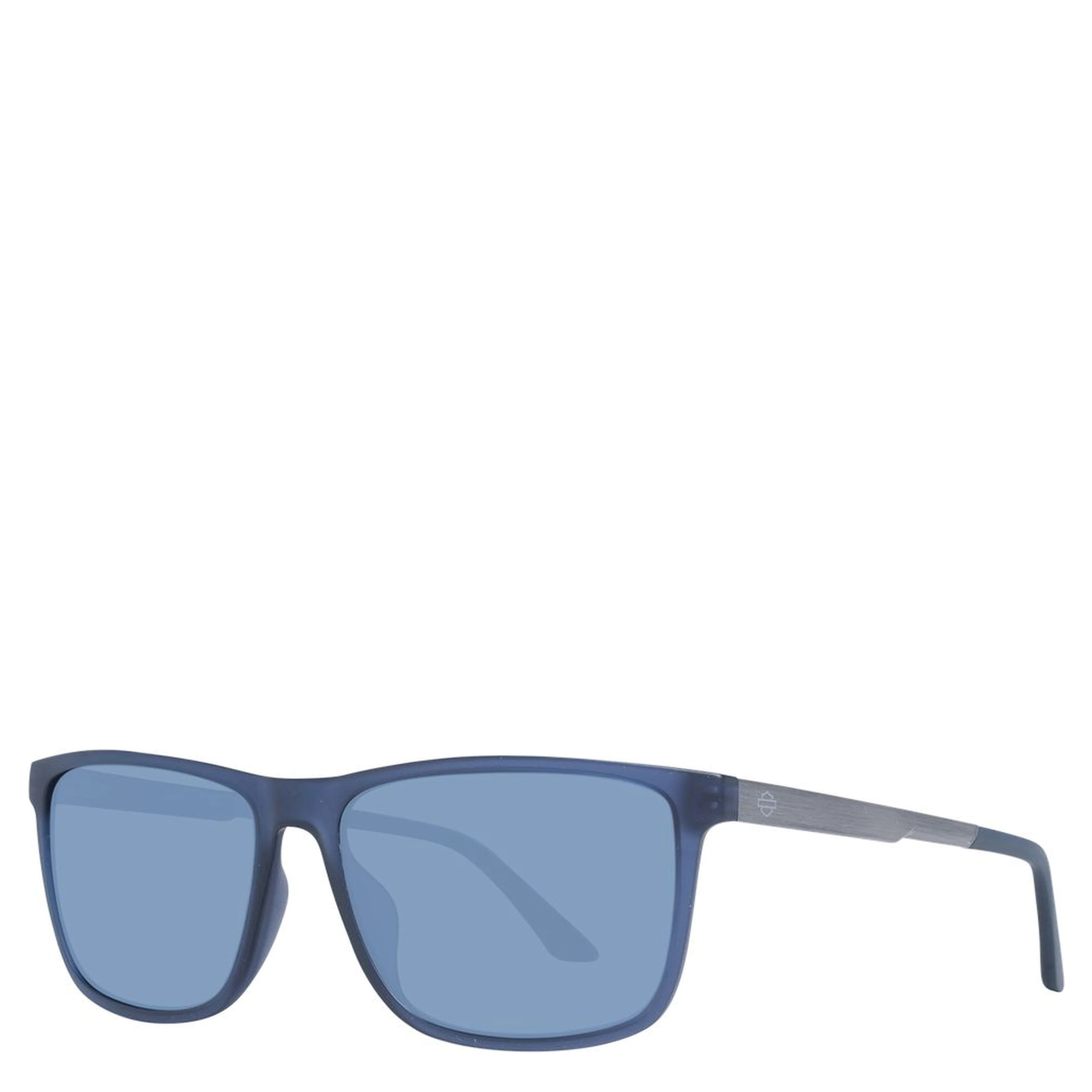 Blue Plastic Sunglasses
