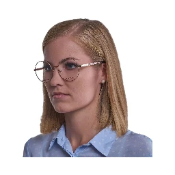 Rose Gold Metal Glasses (Frames)