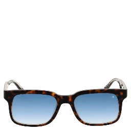 Brown Acetate Sunglasses