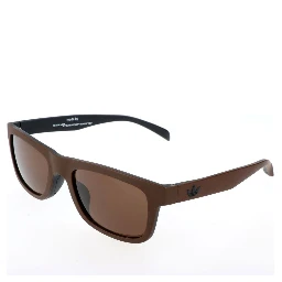 Brown Acetate Sunglasses