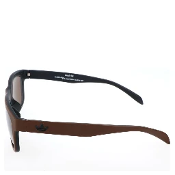 Brown Acetate Sunglasses
