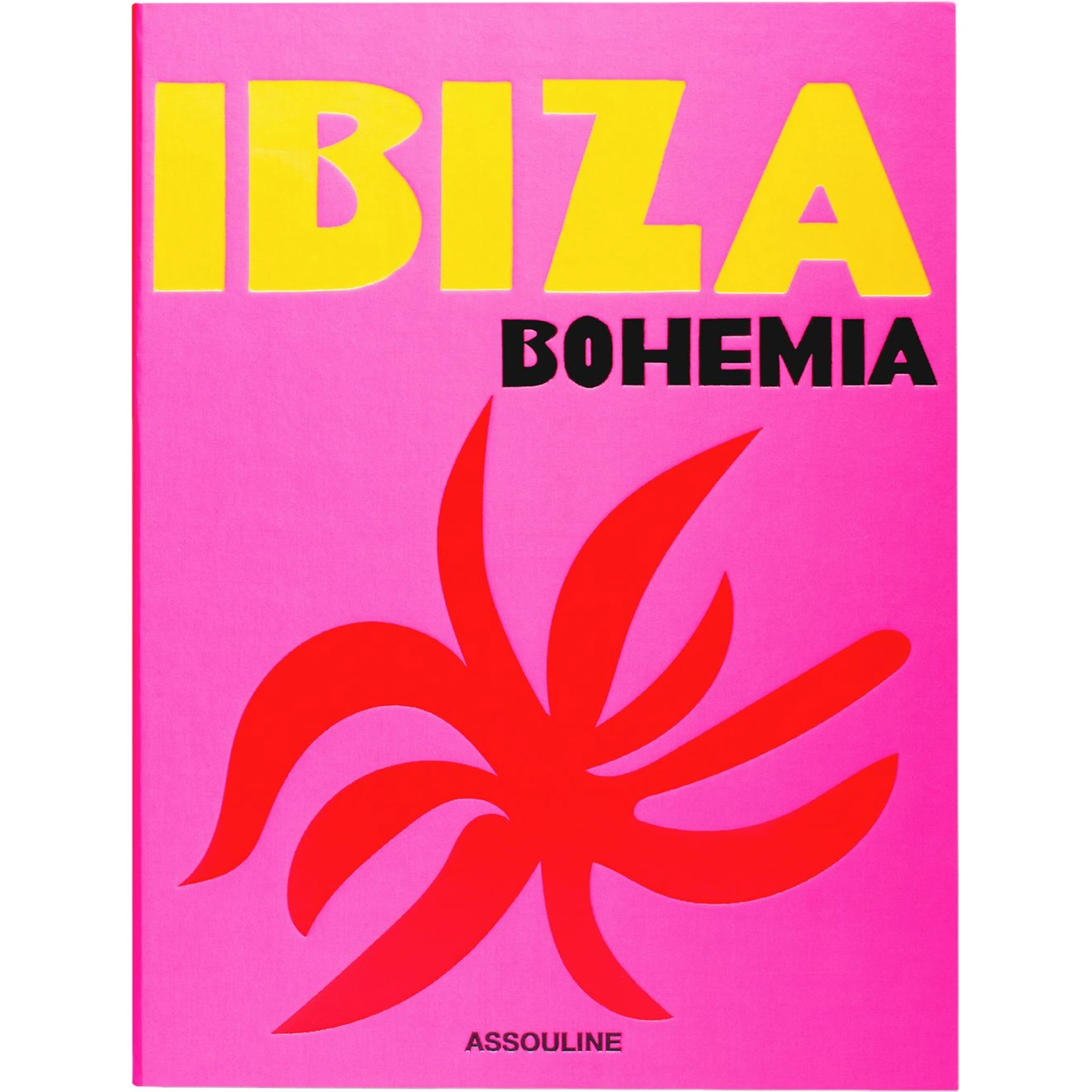 Ibiza Bohemia book