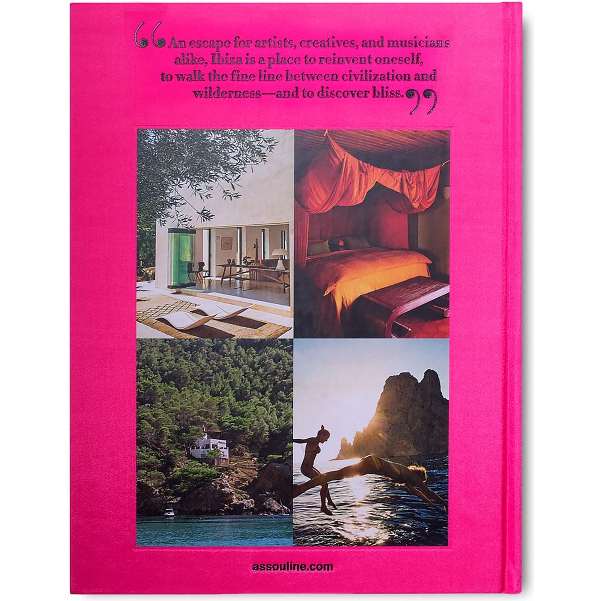 Ibiza Bohemia book
