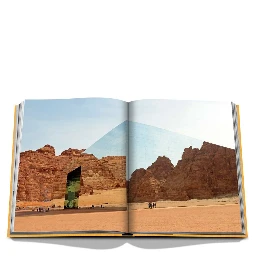 Alula Ever Book