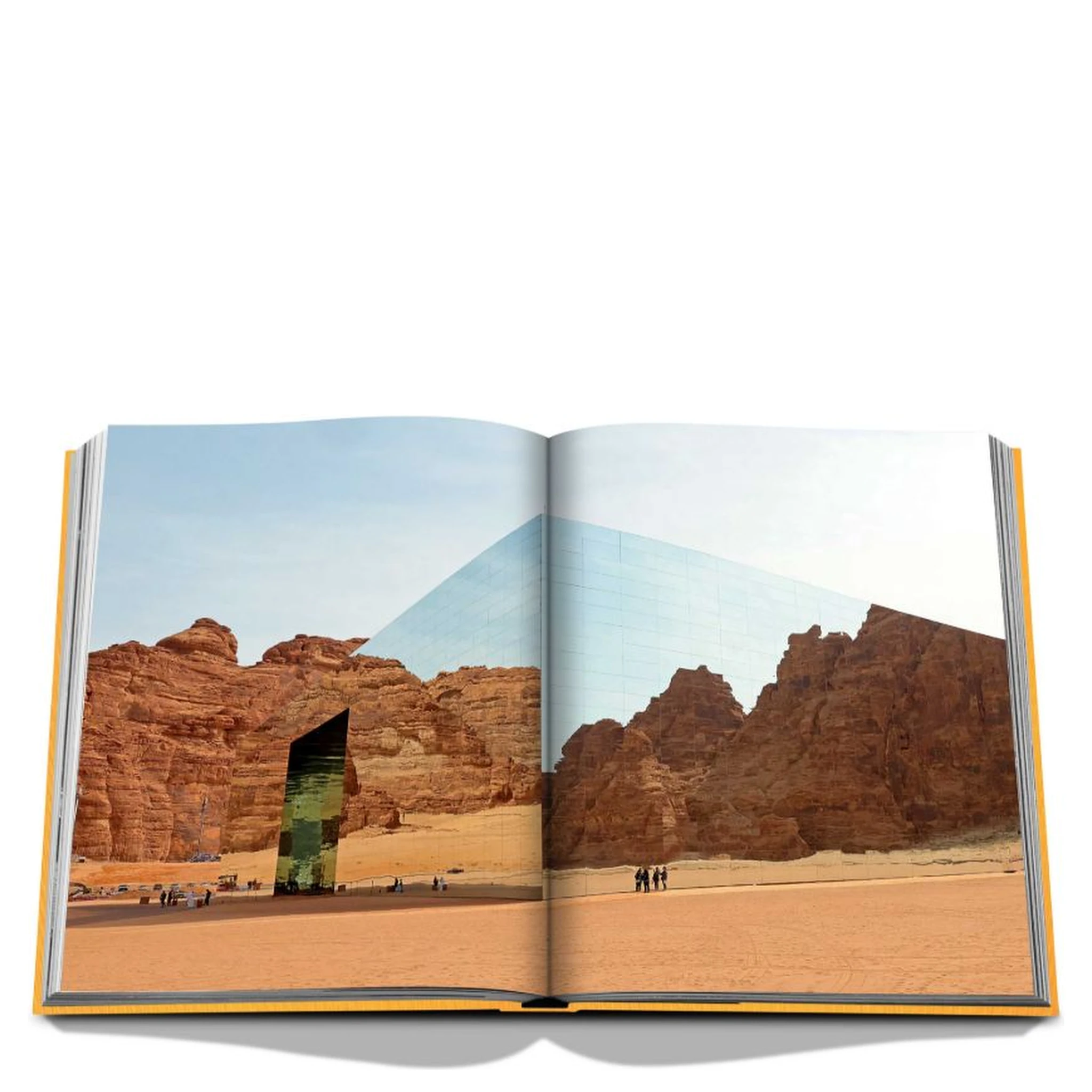 Alula Ever Book