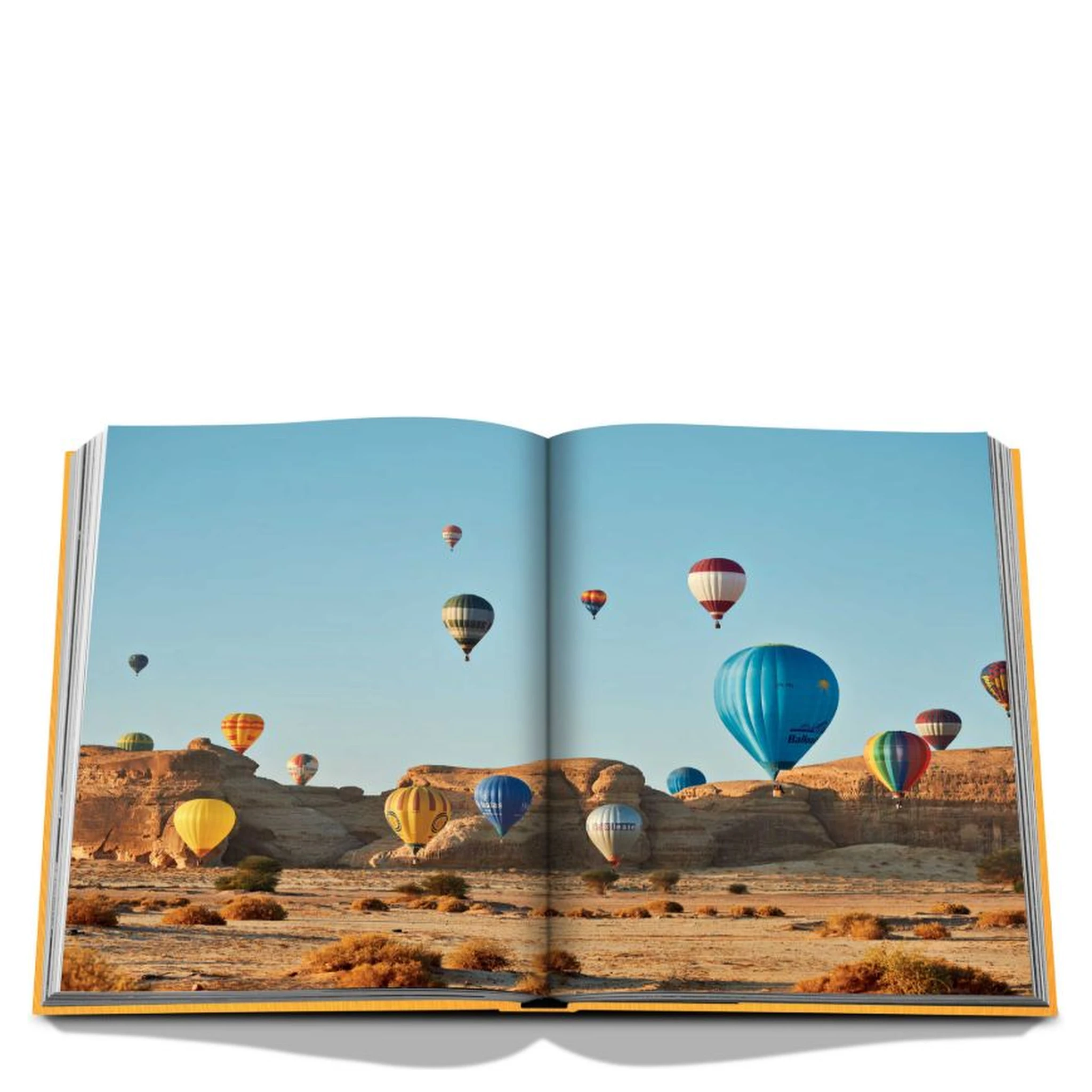 Alula Ever Book