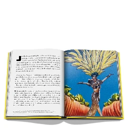 Rio de Janeiro by Bruno Astuto book