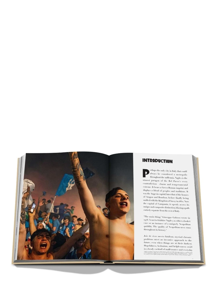 Napoli Amore by Cesare Cunaccia book alternative