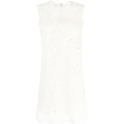 sleeveless lace mini dress
