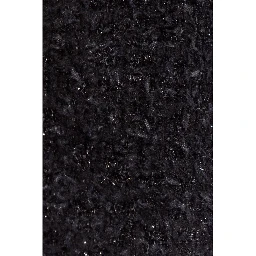 Balenciaga Skirts Black