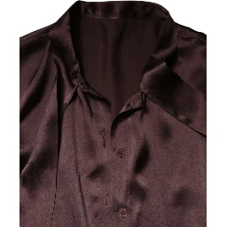 Brown Ascot Collar Long Sleeve Blouse Top