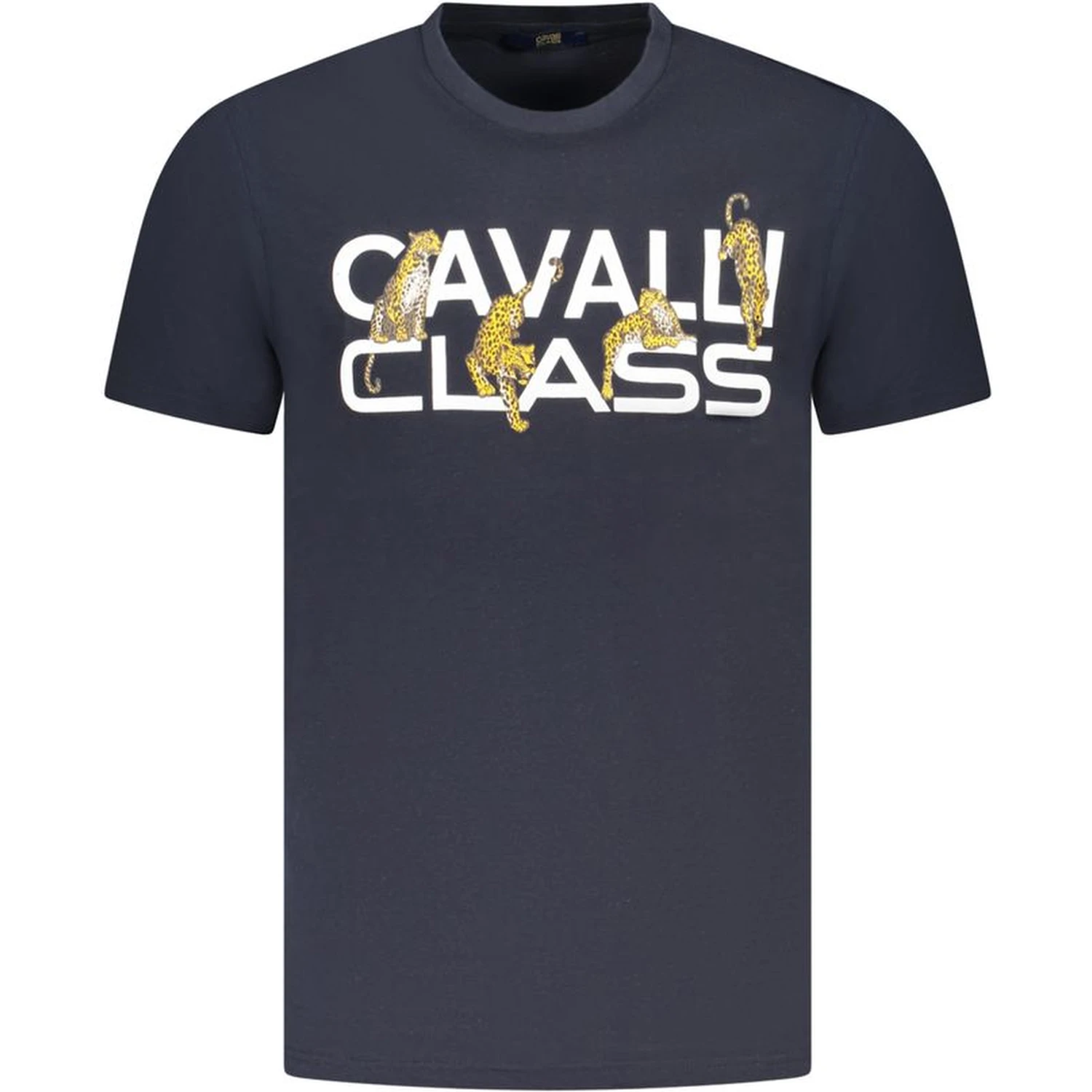 Blue Cotton T-Shirt