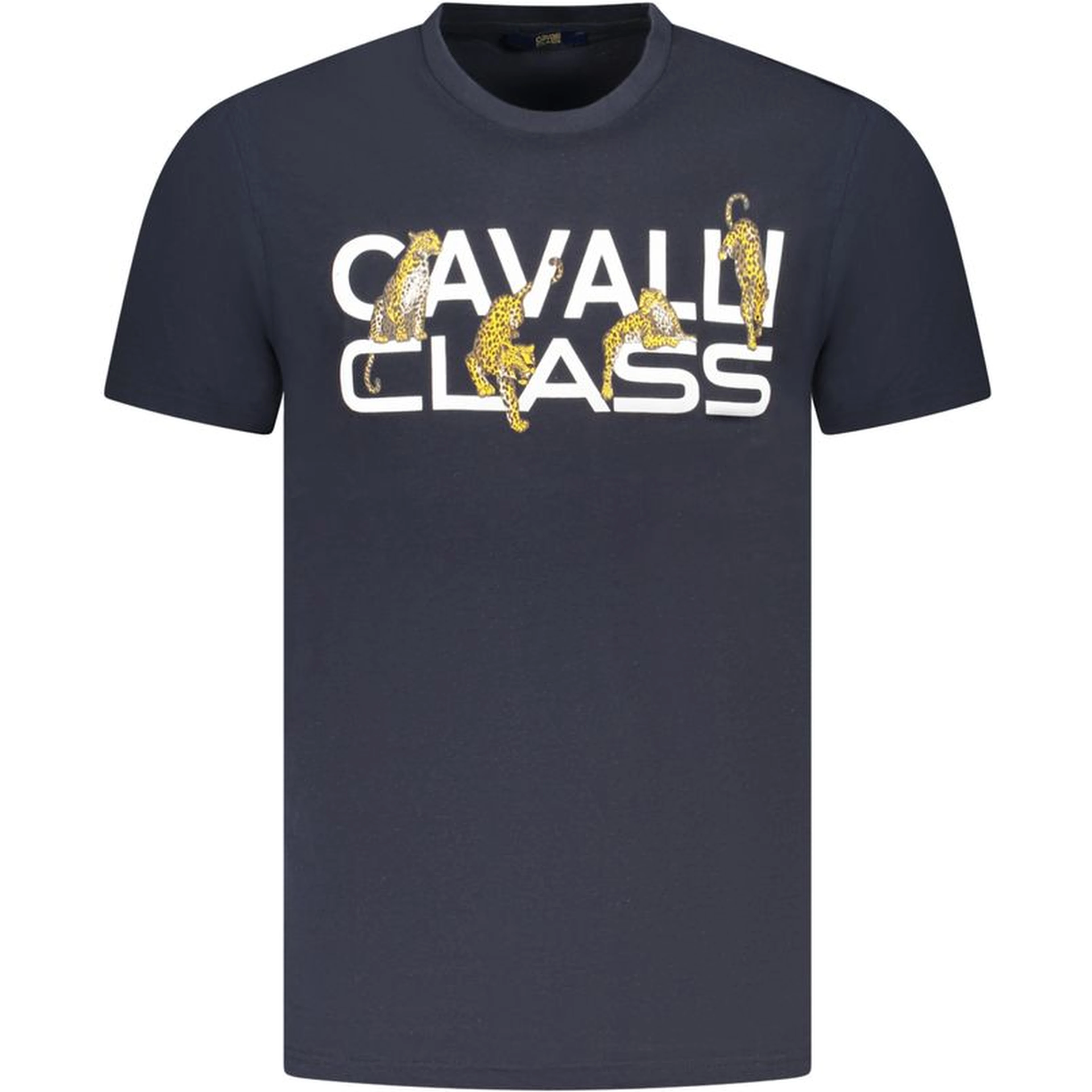 Blue Cotton T-Shirt