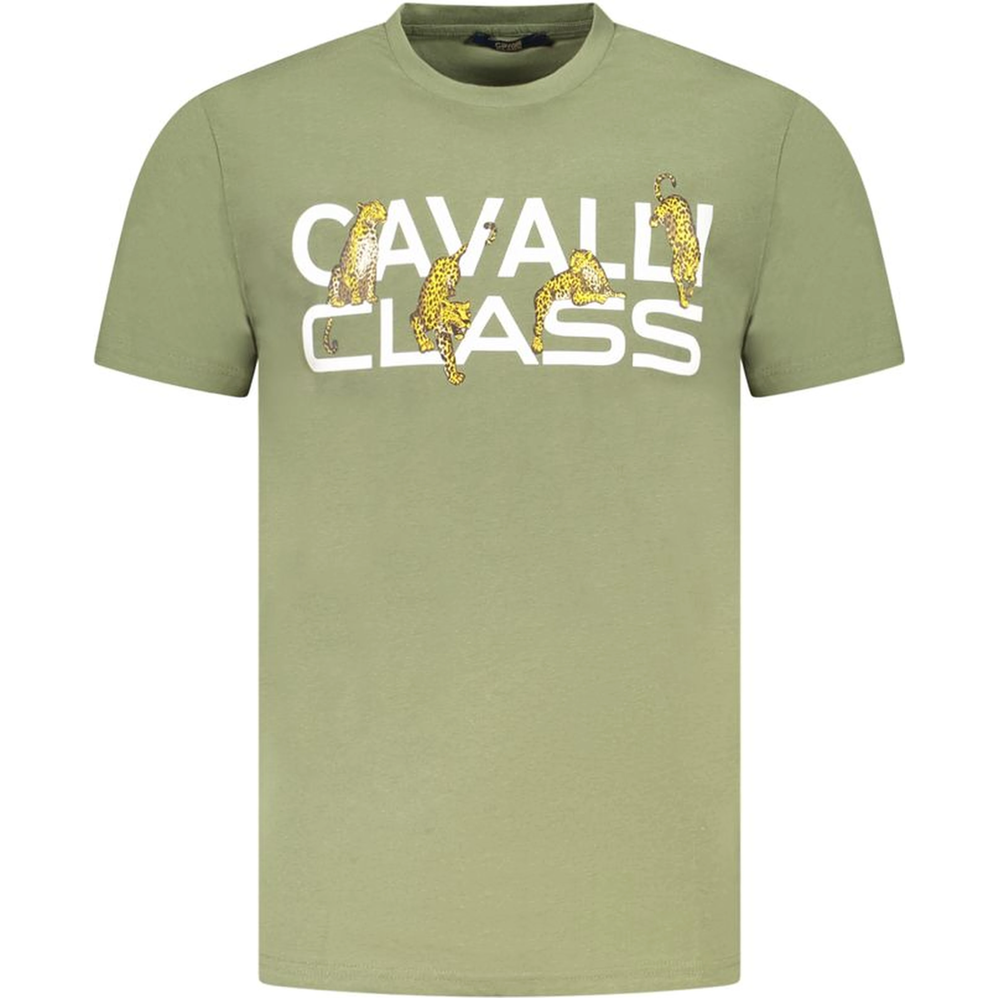 Green Cotton T-Shirt