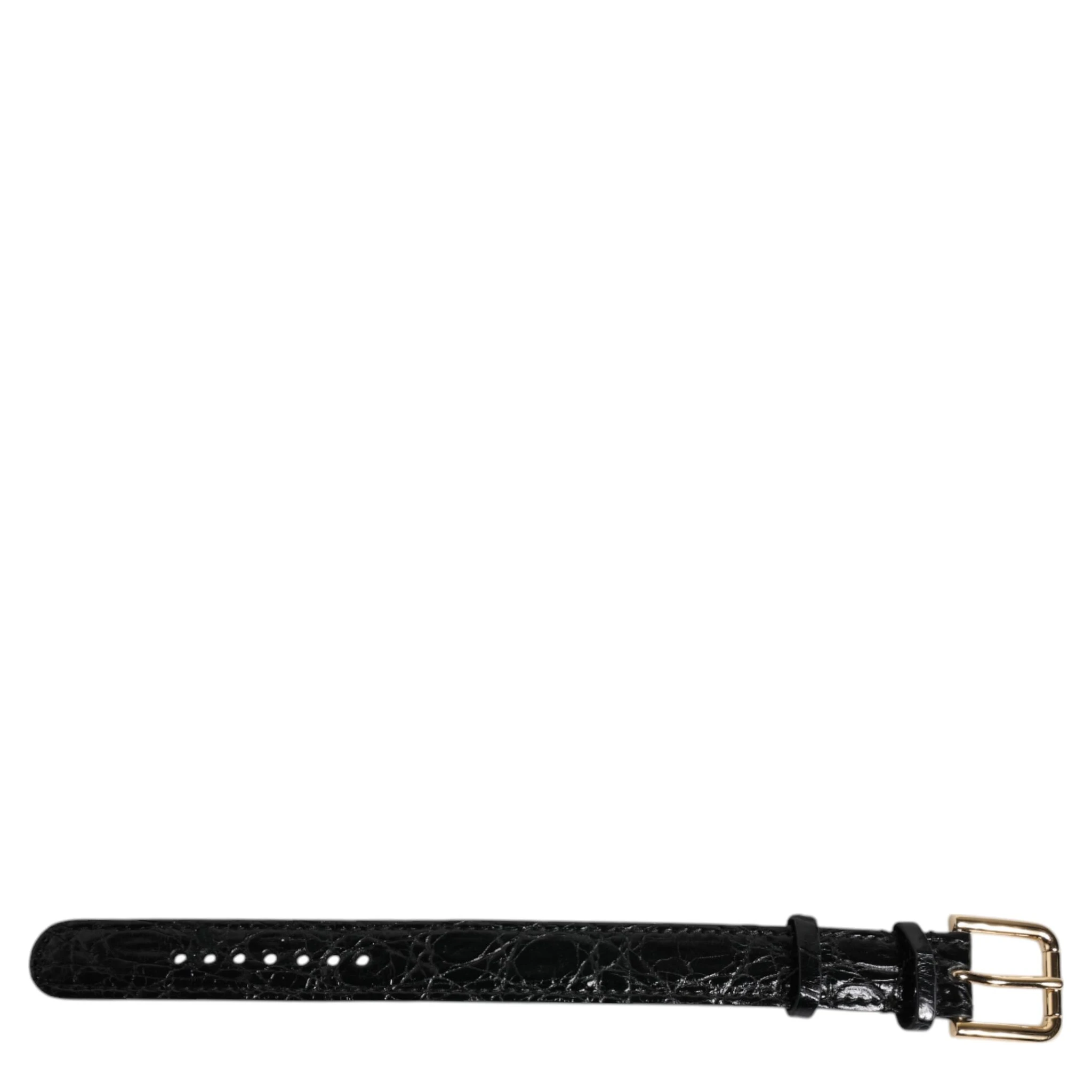 Black Exotic Leather Gold Tone Metal Buckle Armband