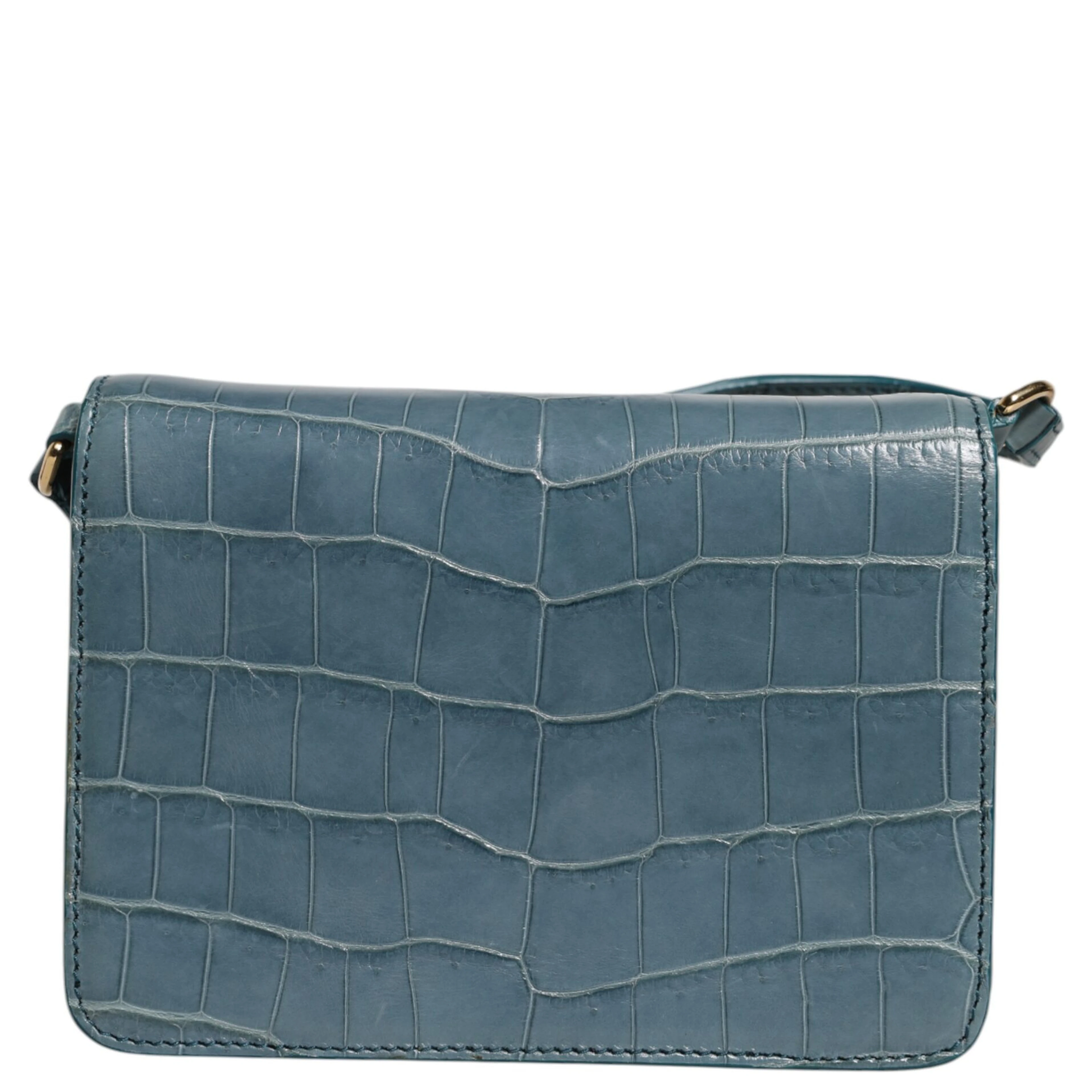 Green Exotic Leather DG Plaque Crossbody Mini Bag