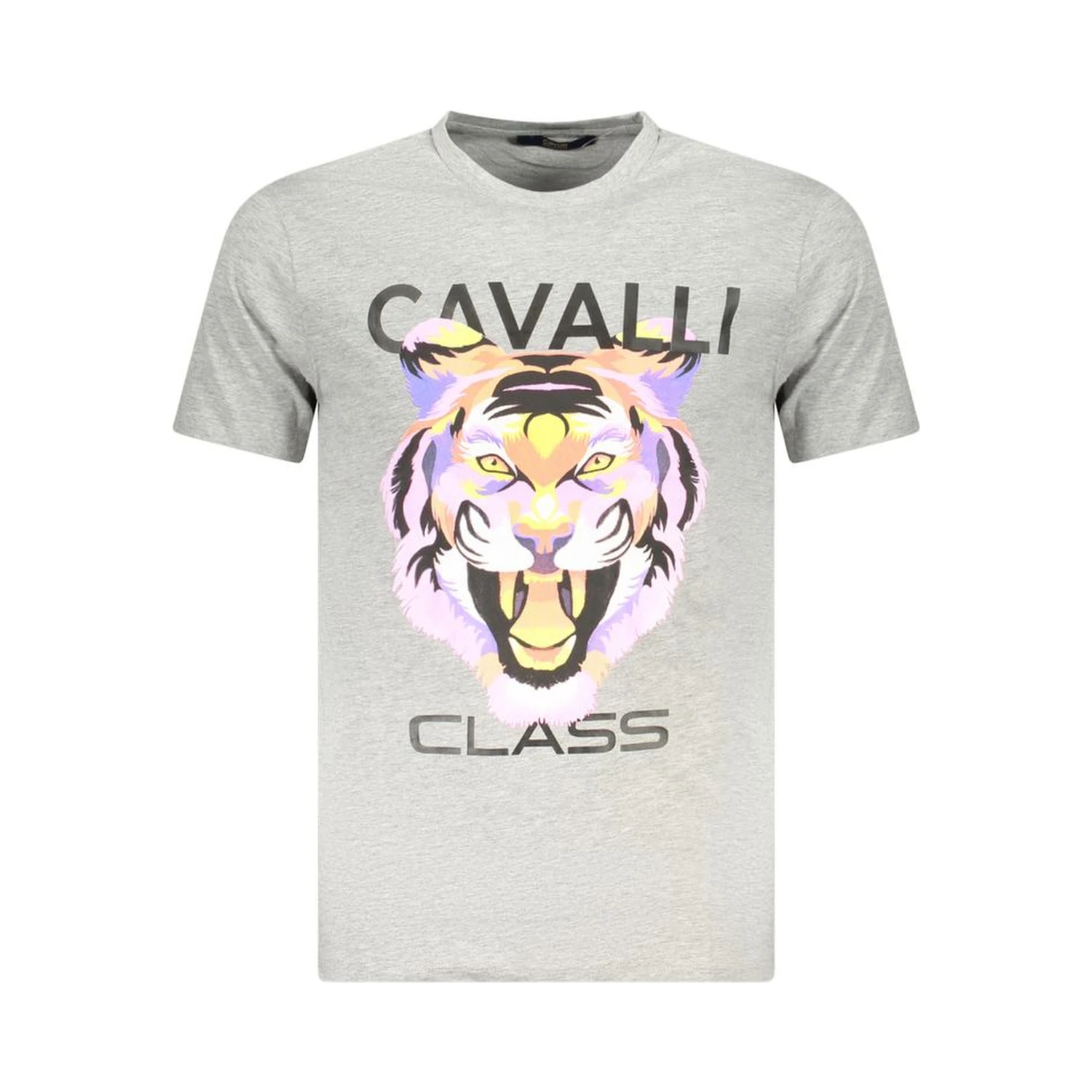 Gray Cotton T-Shirt