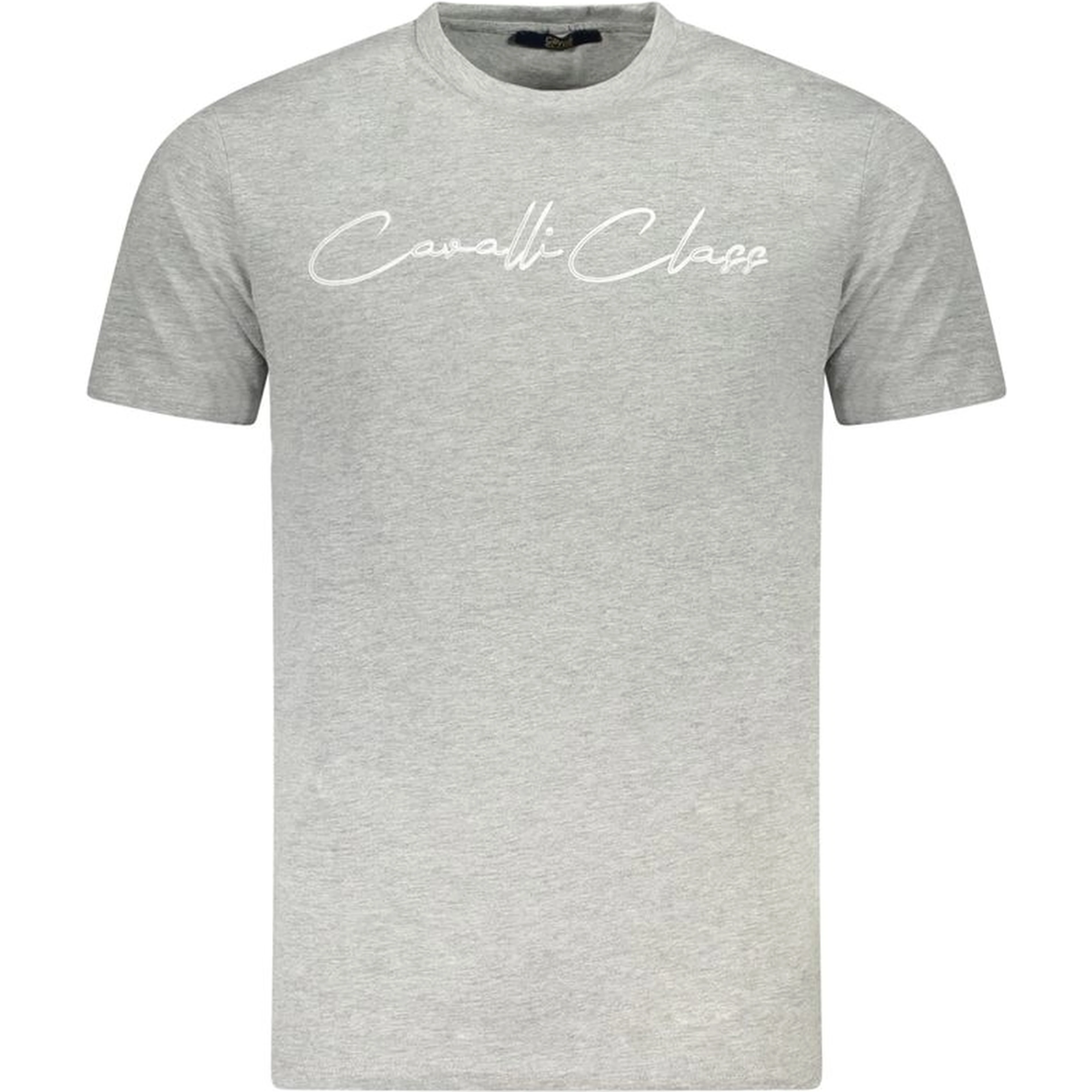 Gray Cotton T-Shirt