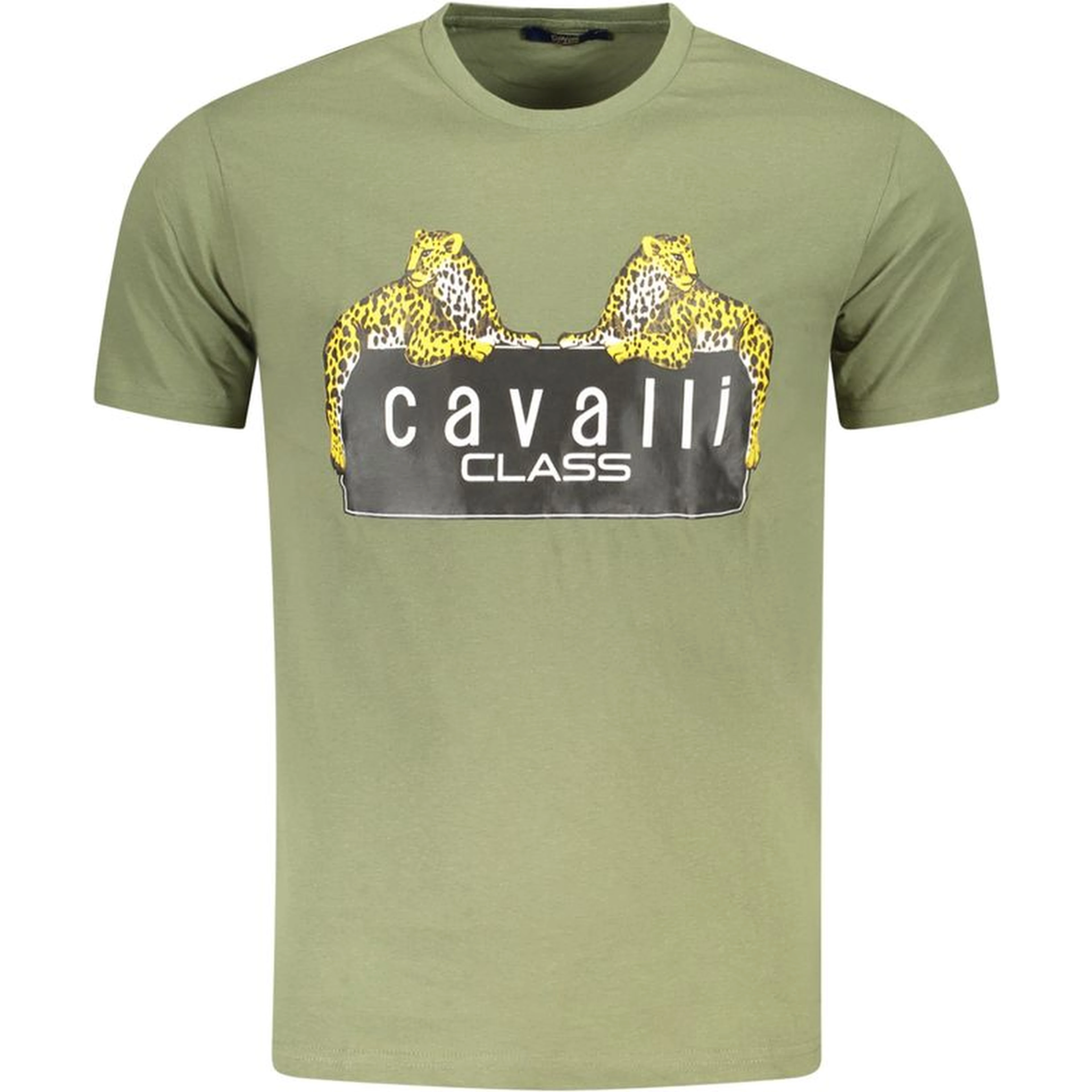 Green Cotton T-Shirt