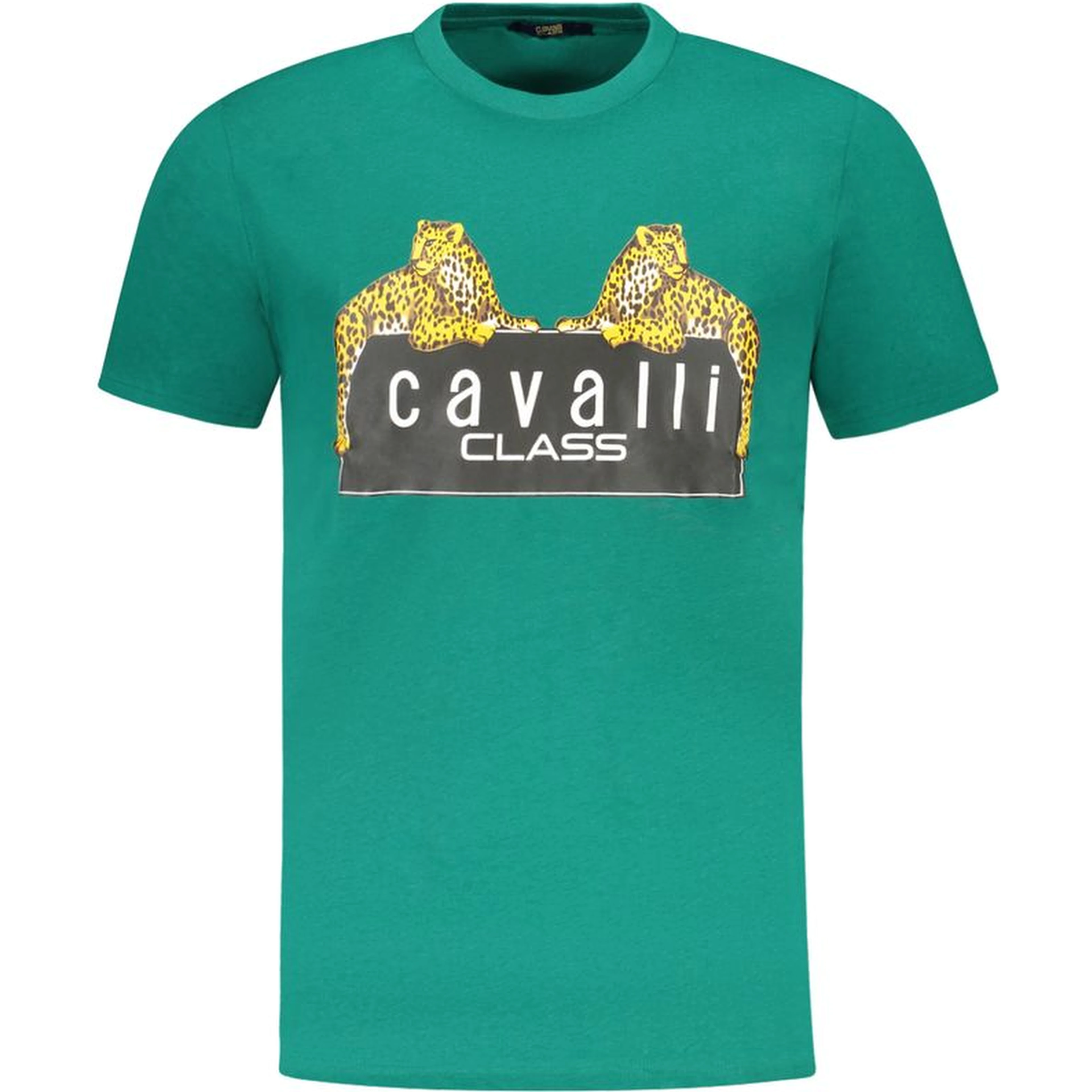 Green Cotton T-Shirt