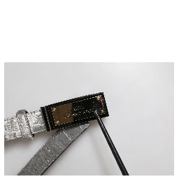 Silver Classic Gold Logo Plaque Buckle Belt