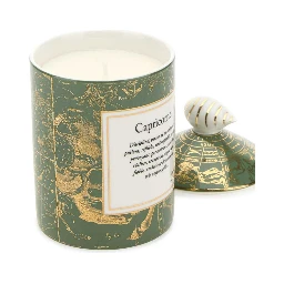 350gr Capricorn Zodiac Scented Candle In Green