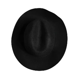 Black Wide Brim Trilby Fedora Hat
