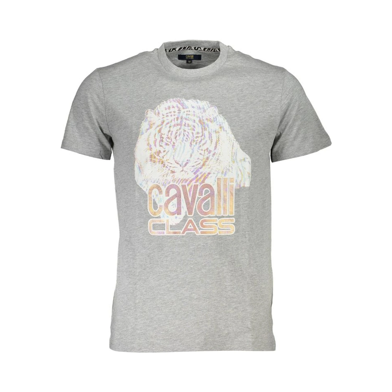 Brown Cotton Men T-Shirt
