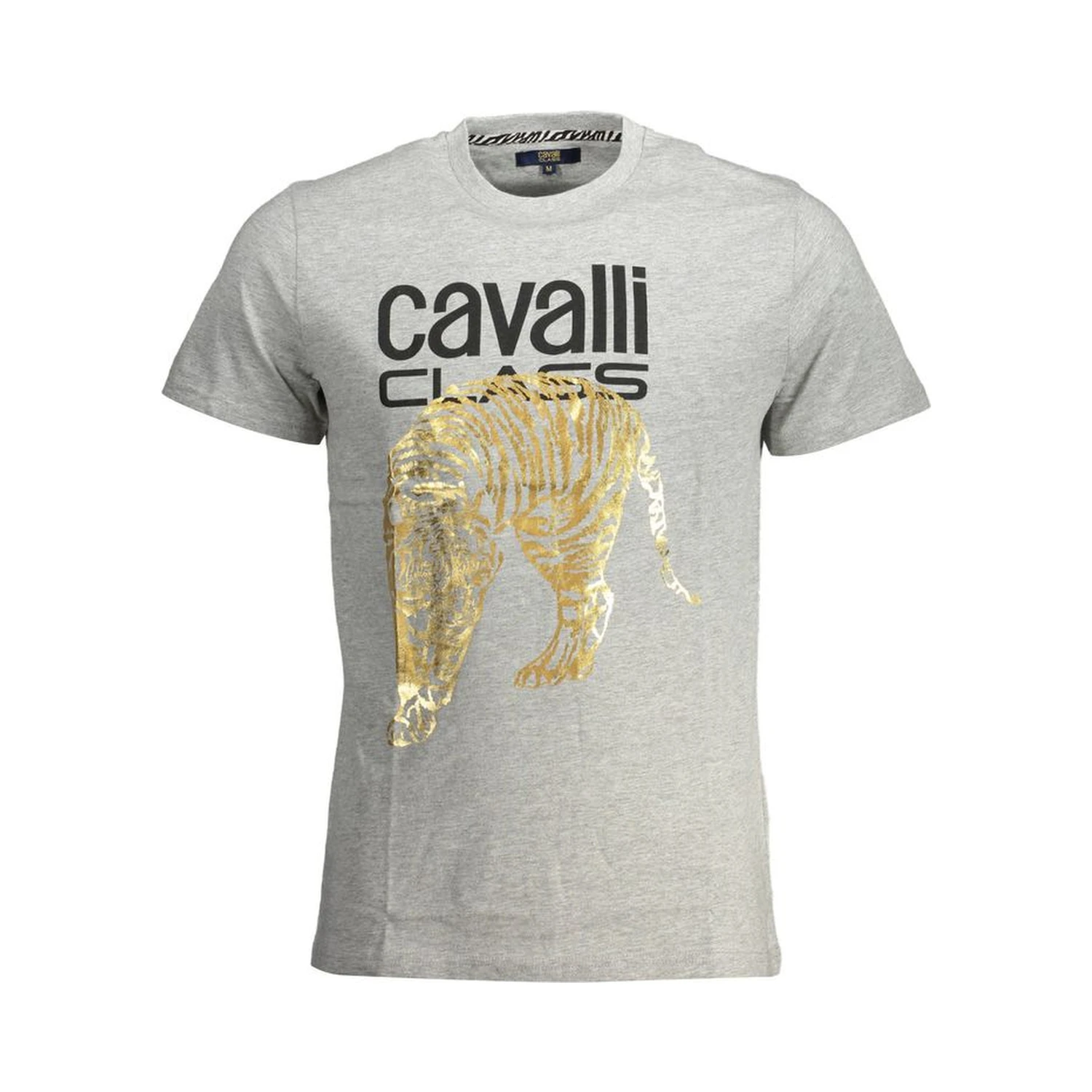 Brown Cotton Men T-Shirt