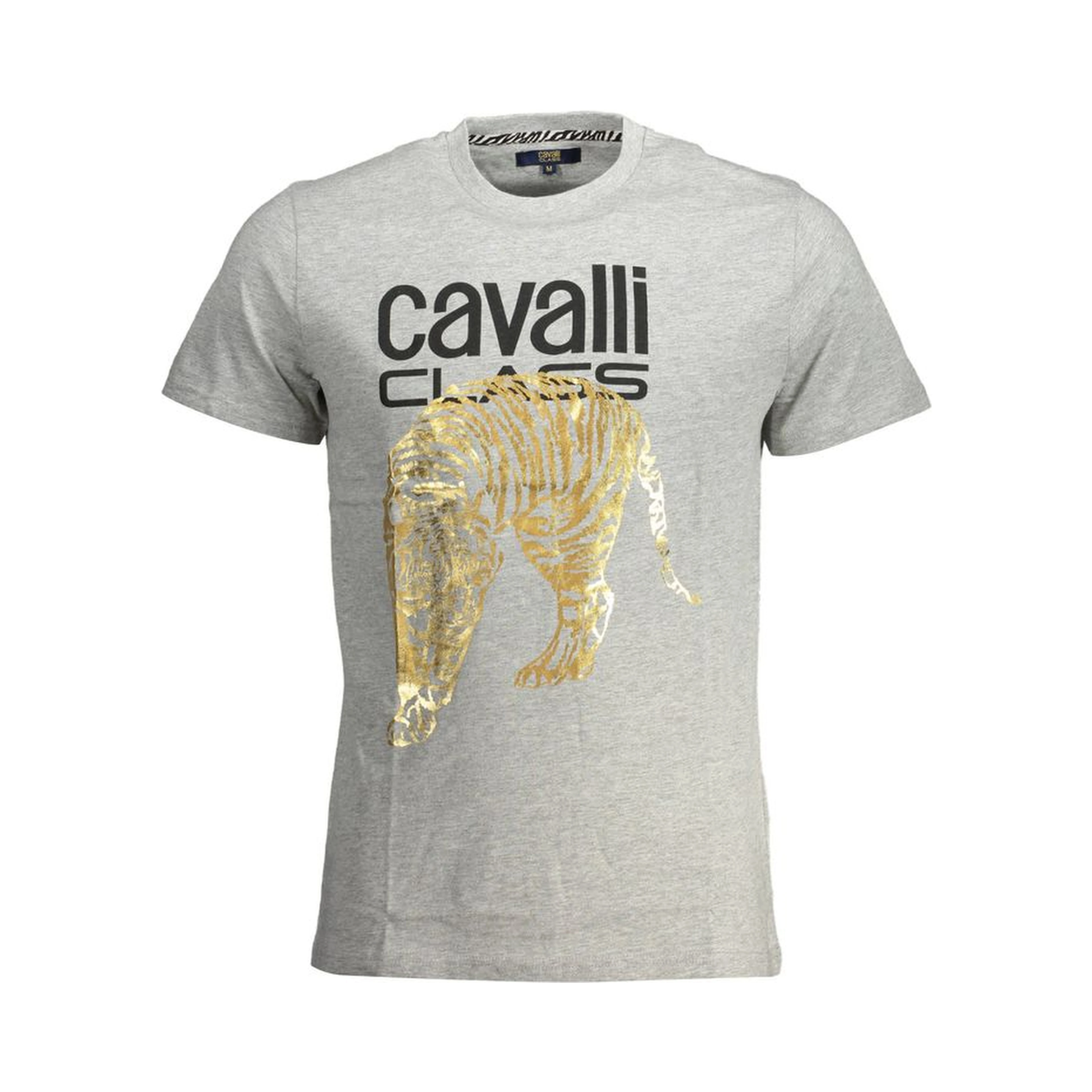 Brown Cotton Men T-Shirt
