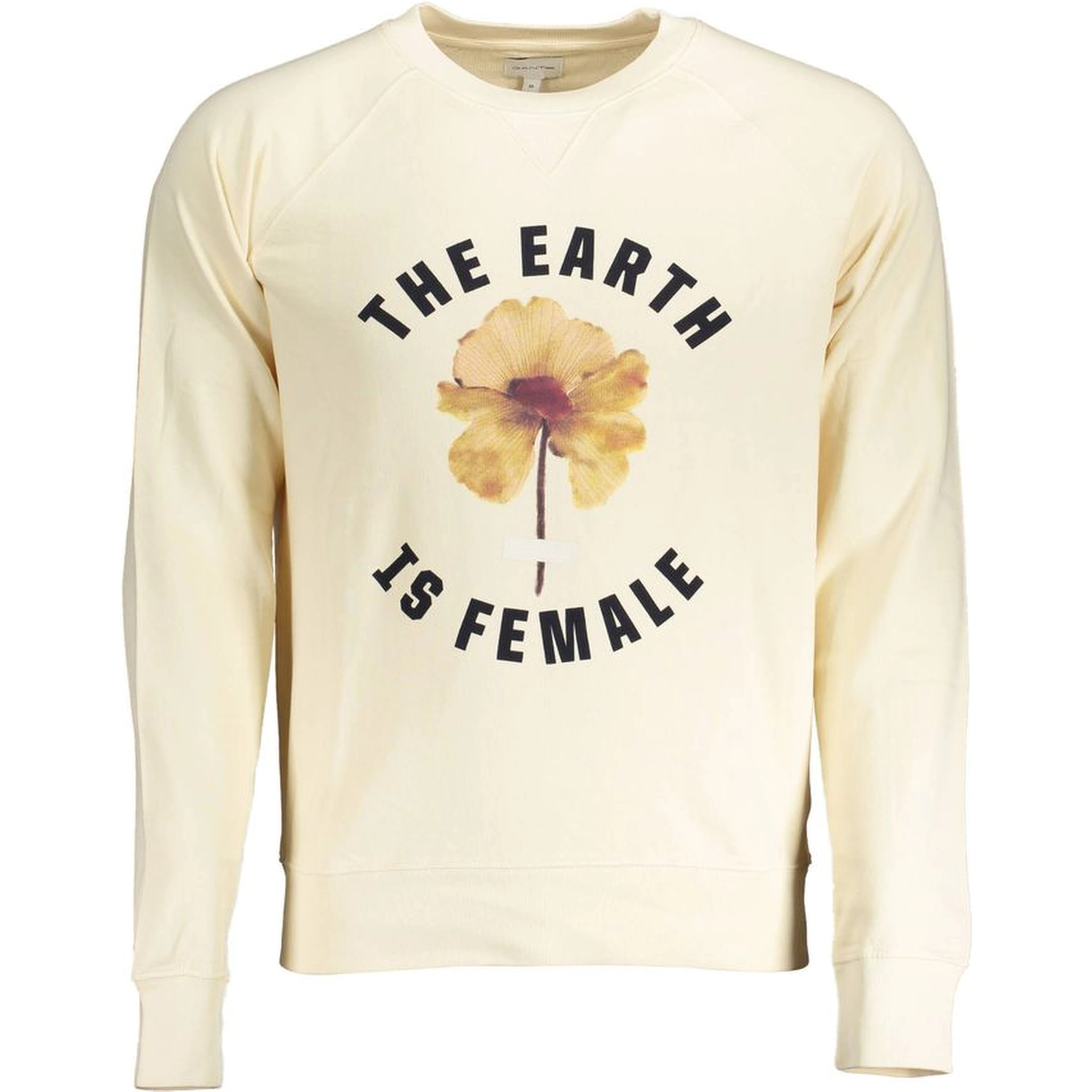 Beige Cotton Men's Sweater