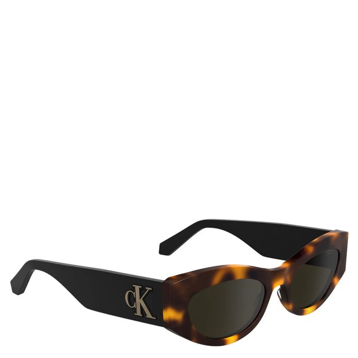 Brown Acetate Women's Sunglass