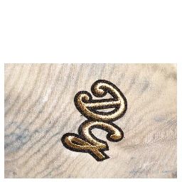 Beige Tie Dye DG Embroidery Cropped T-shirt