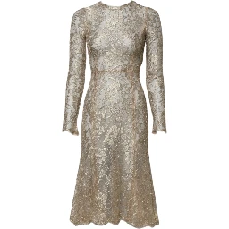 Gold Floral Lace Long Sleeves Fit & Flare Dress