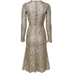 Gold Floral Lace Long Sleeves Fit & Flare Dress