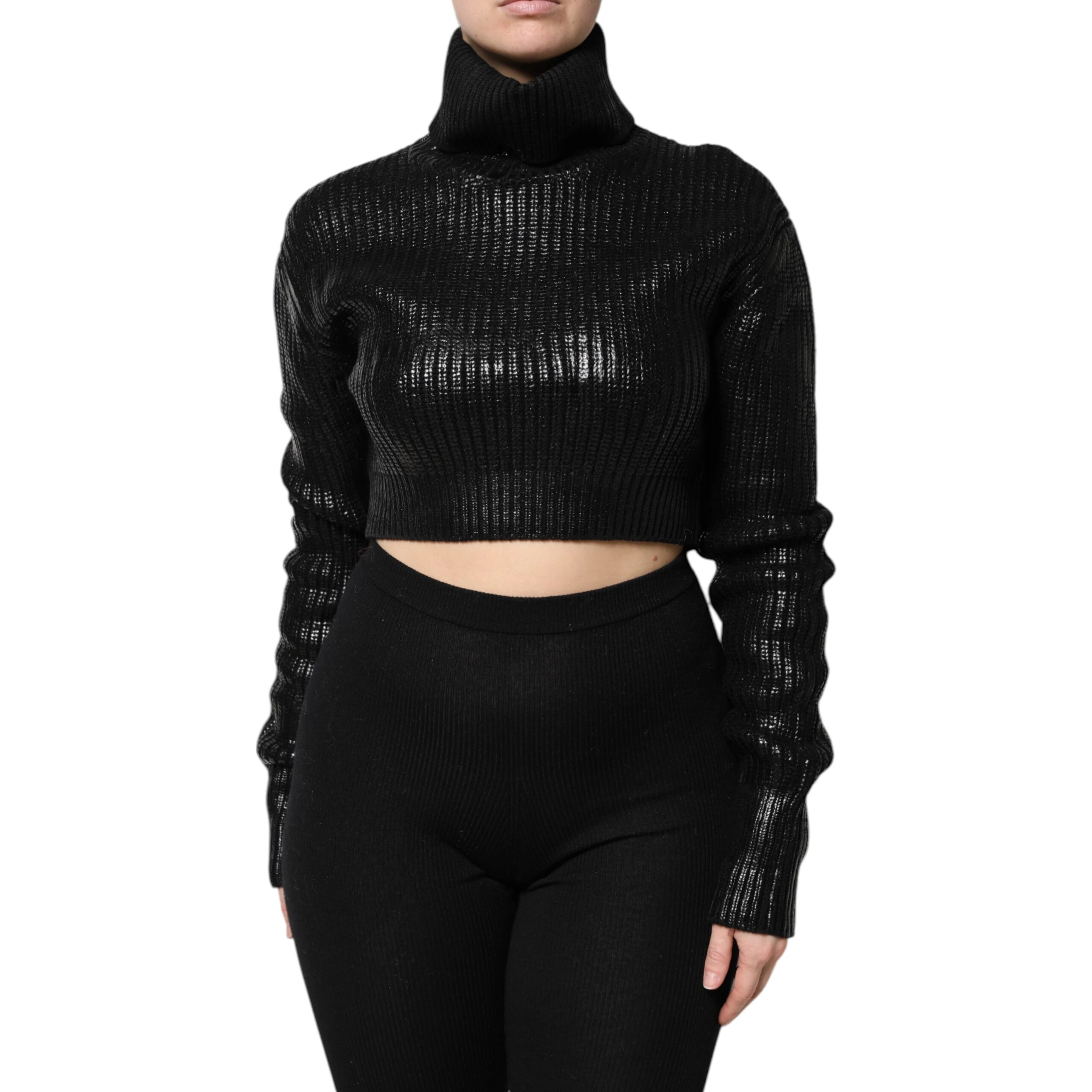 Black Wool Long Sleeve Turtleneck Cropped Top